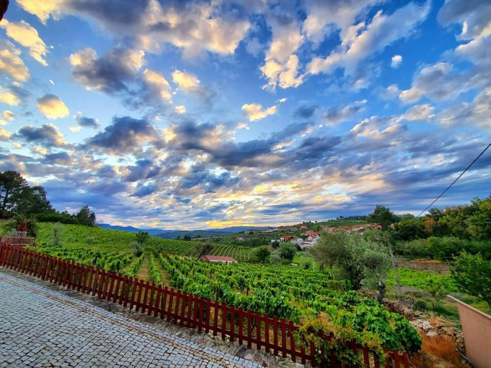 فندق Casa Do Poco - Douro Peso da Régua المظهر الخارجي الصورة